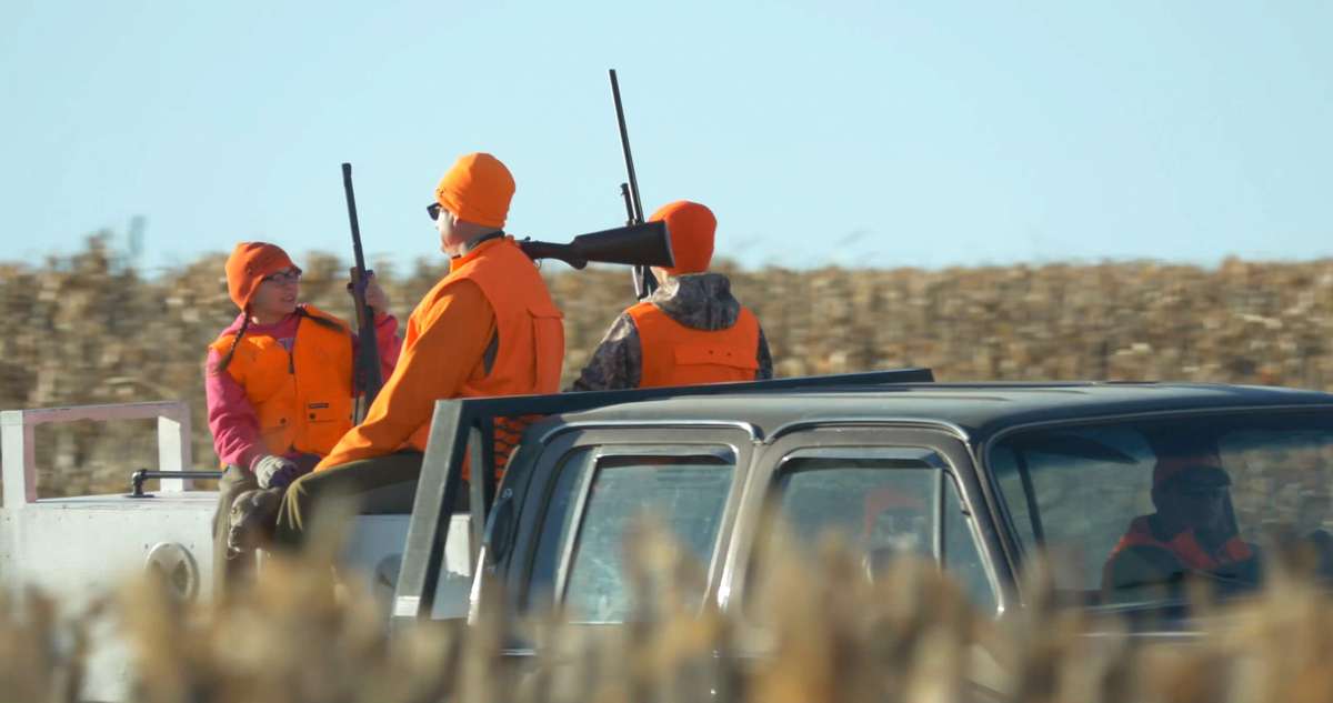Hunts Kansas Pheasant Hunting Group